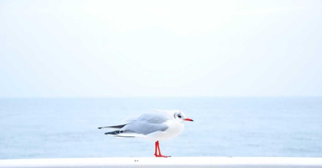 The Hidden Truth About Fintech That Experts Won’t Tell&nbsp;You