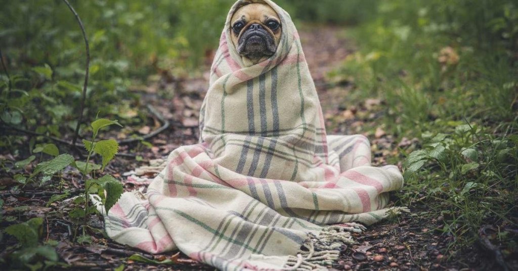 Productivity: What You Need to Know Right&nbsp;Now