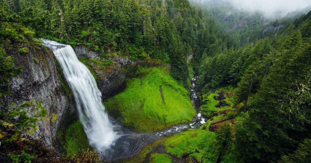 The Hidden Truth About Startups That Experts Won’t Tell&nbsp;You