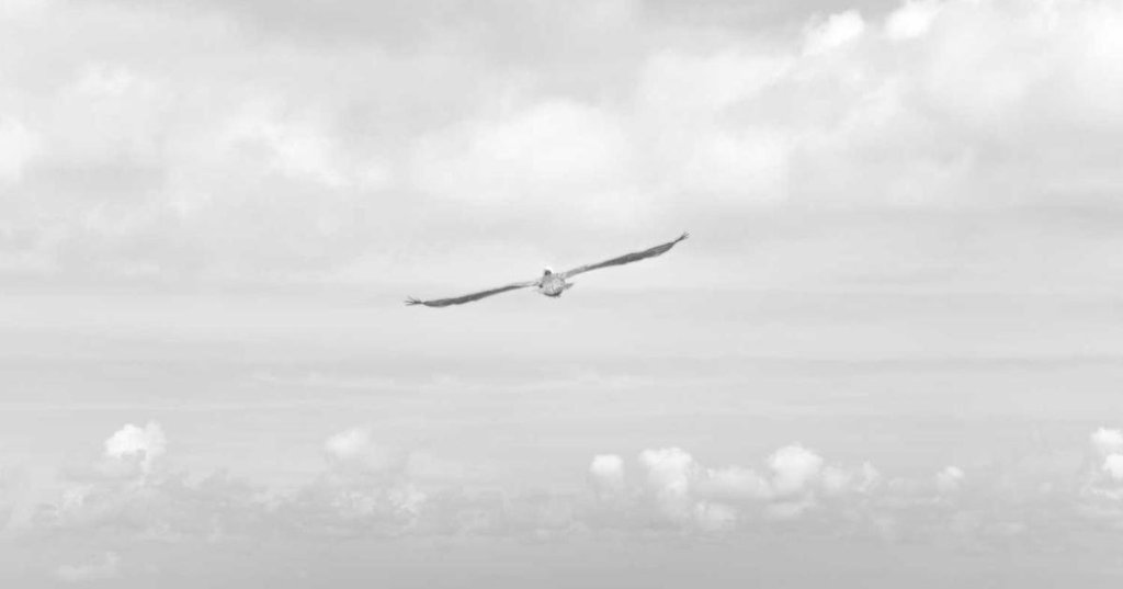 Why Iot Will Change Everything in the Next 5&nbsp;Years