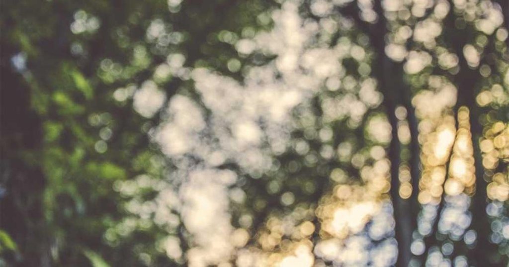 The Future of Cryptocurrency: 13 Predictions for&nbsp;2025