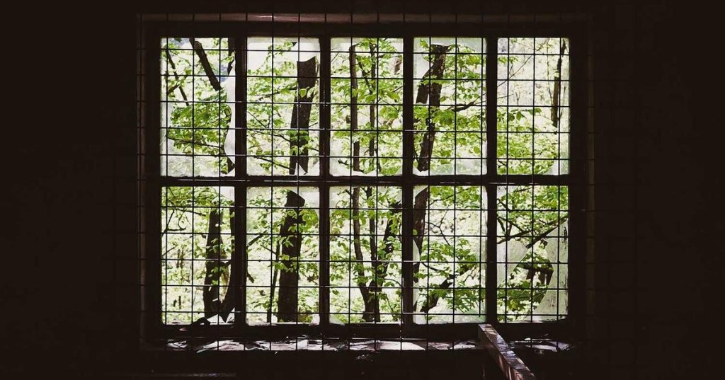 Investing vs cryptocurrency: Which is Better for&nbsp;You?