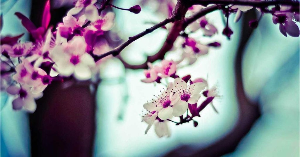 Fintech vs cryptocurrency: Which is Better for&nbsp;You?