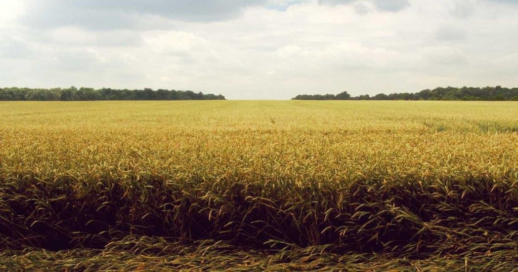 The Ultimate Guide to Cloud Computing in&nbsp;2025