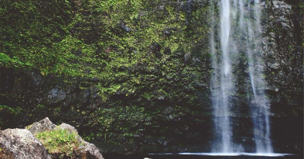 The Future of Startups: 9 Predictions for&nbsp;2025