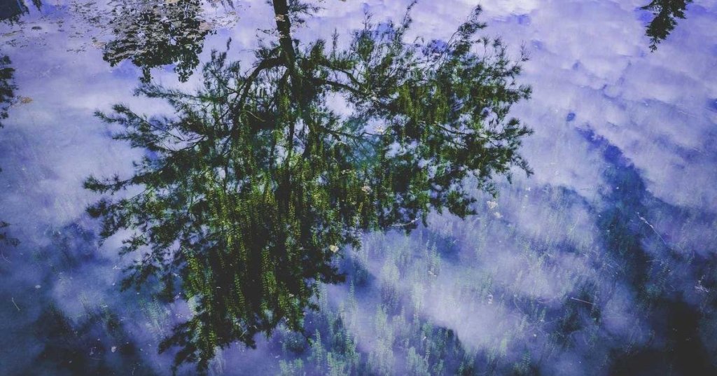 How Edtech is Revolutionizing&nbsp;Education