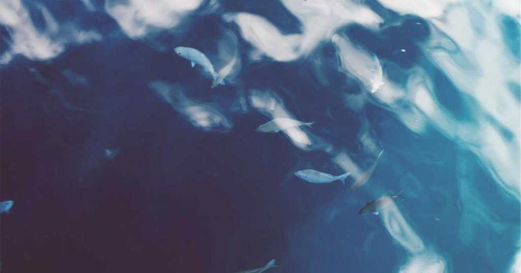 Master Career Growth in 15 Simple&nbsp;Steps