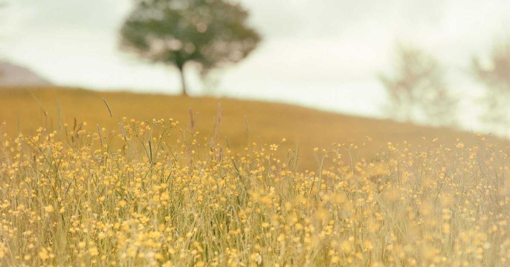 Digital Nomad: What You Need to Know Right&nbsp;Now