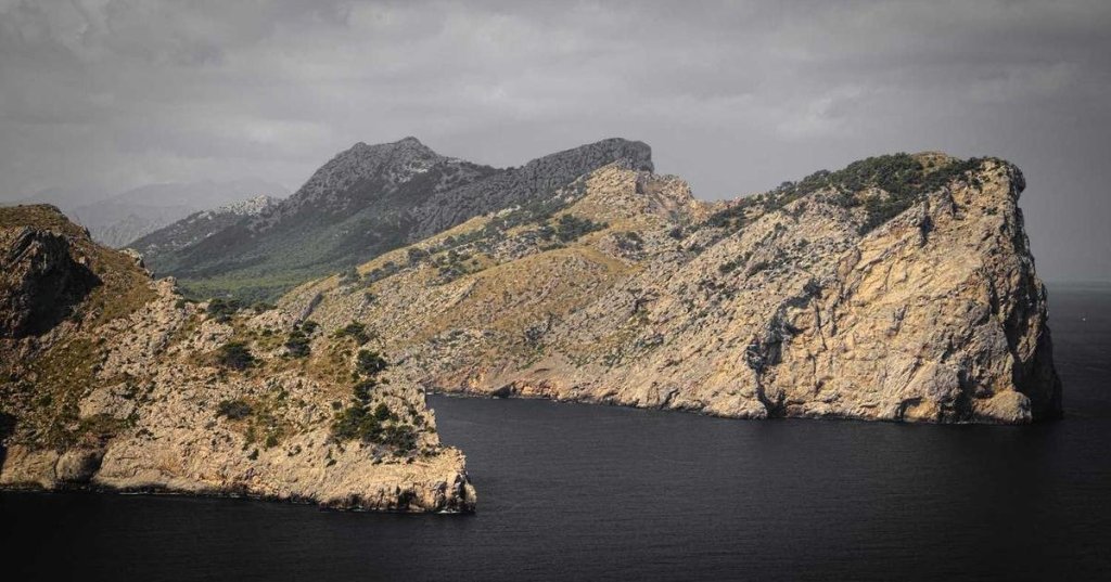 Master Sustainable Living in 11 Simple&nbsp;Steps