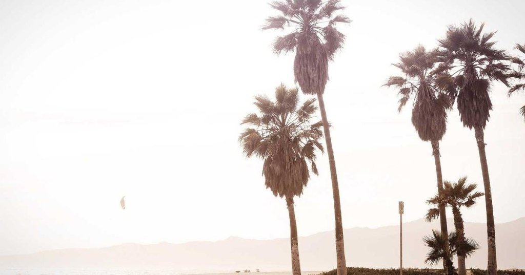 The Future of Sustainable Living: 9 Predictions for&nbsp;2025