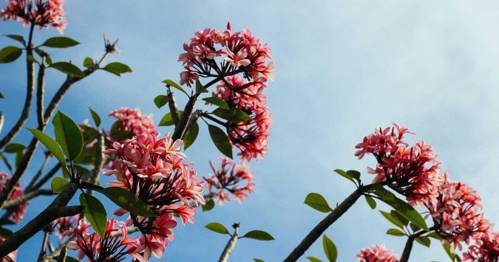 Cybersecurity vs cybersecurity: Which is Better for&nbsp;You?