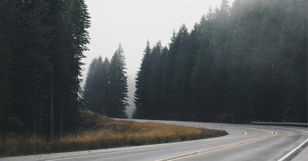 Breaking Down Skill Development: A Beginner’s Complete&nbsp;Guide