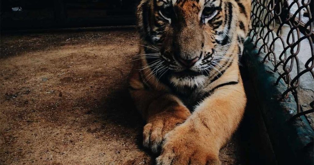 The Future of Certifications: 15 Predictions for&nbsp;2025