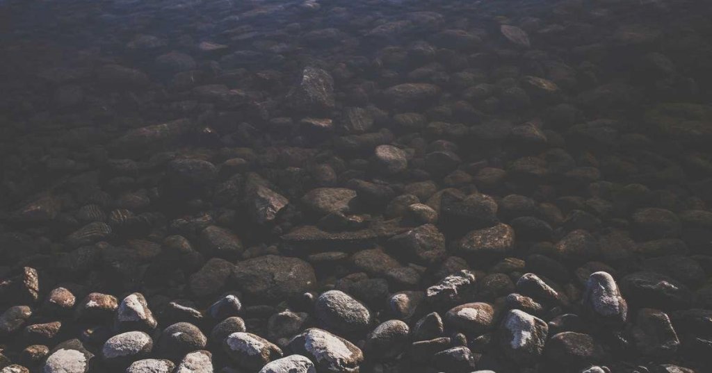 Ai vs AI: Which is Better for&nbsp;You?