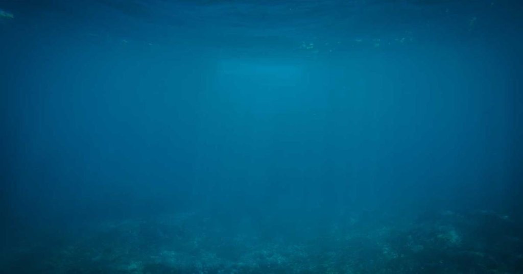 Master Stock Market in 5 Simple&nbsp;Steps